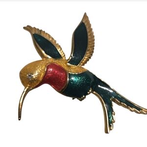 Brochee Colorful Hummingbird Bird